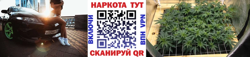 Как найти наркотики Копейск АМФЕТАМИН ГАШ Галлюциногенные грибы APVP