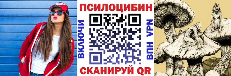 магазин  наркотиков  Копейск  Галлюциногенные грибы Psilocybine cubensis 